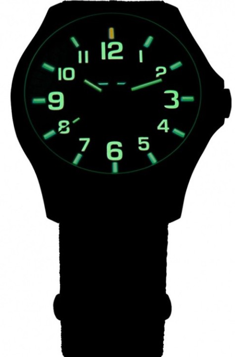Bild von Traser P67 Officer Pro GunMetal Black/Lime