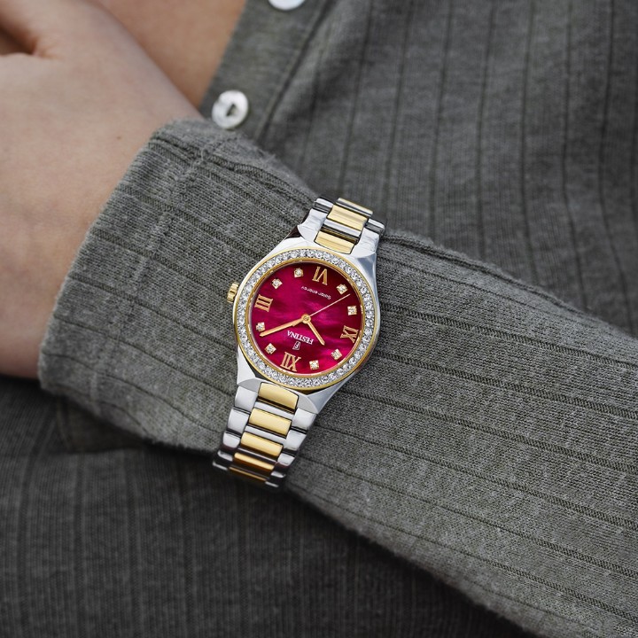 Bild von Festina Solar Energy