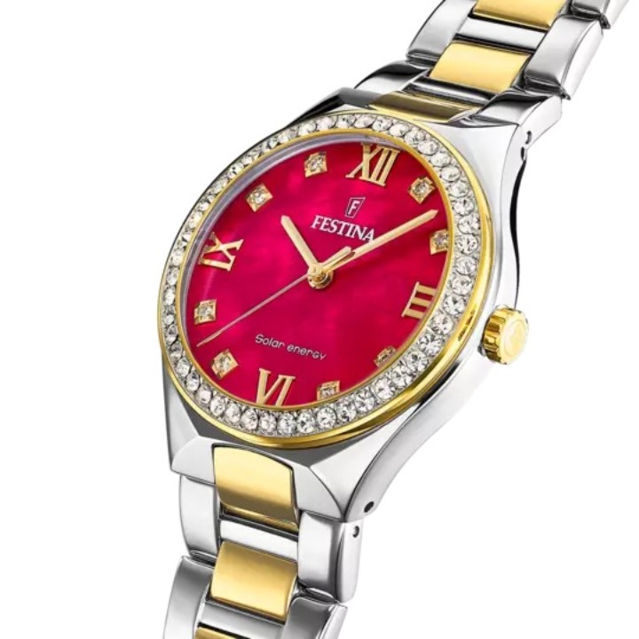Bild von Festina Solar Energy