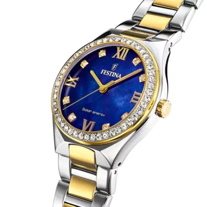 Bild von Festina Solar Energy
