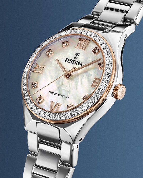 Bild von Festina Solar Energy
