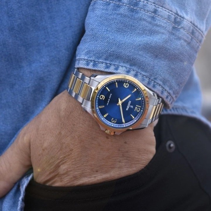 Bild von Festina Solar Energy