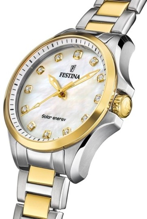 Bild von Festina Solar Energy