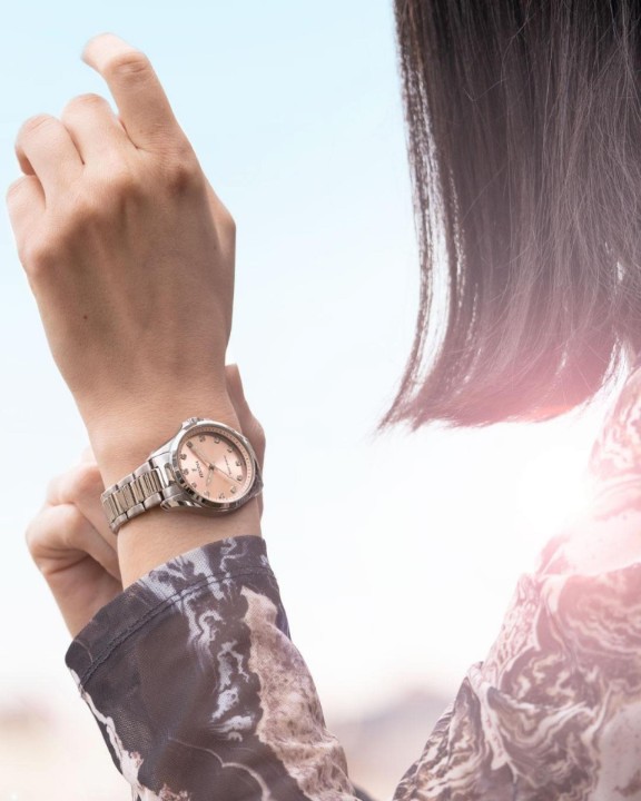 Bild von Festina Solar Energy