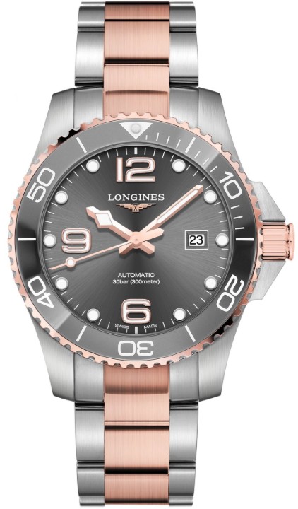 Bild von Longines HydroConquest