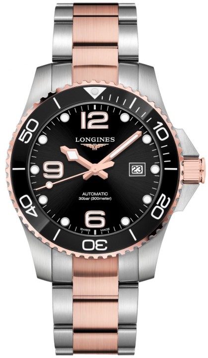 Bild von Longines HydroConquest