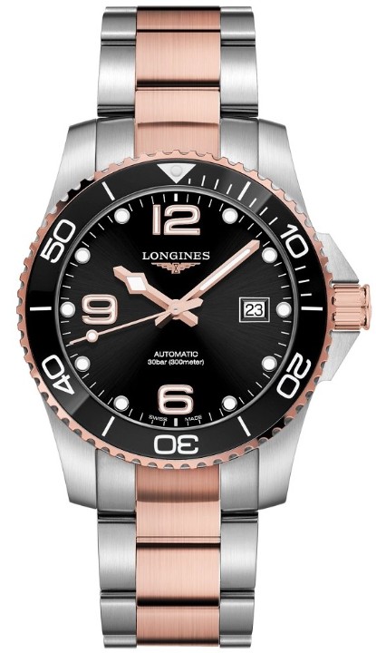Bild von Longines HydroConquest