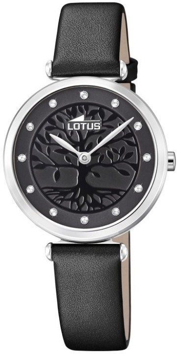 Bild von Lotus Bliss