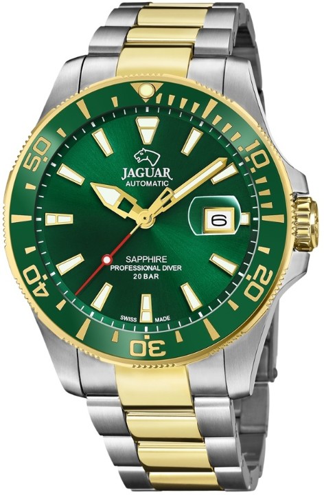 Bild von Jaguar Executive Diver