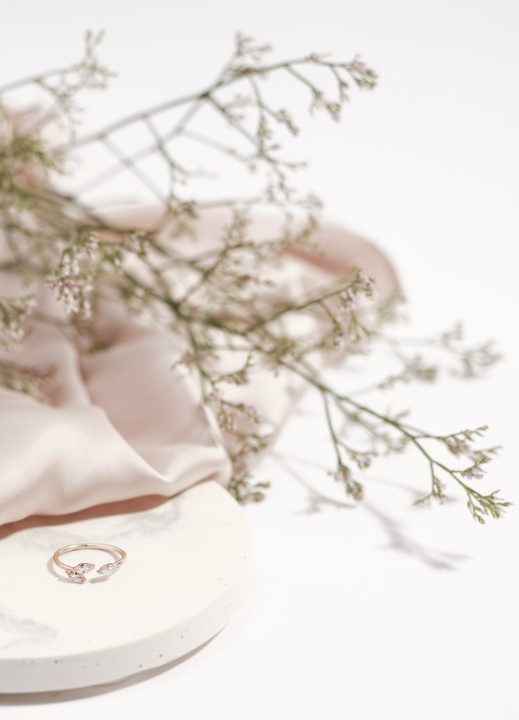 Bild von Ring LOEE Gaia aus Roségold mit Diamanten