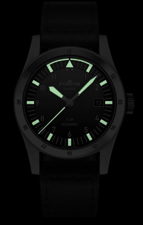 Bild von Fortis Flieger F-39 Black