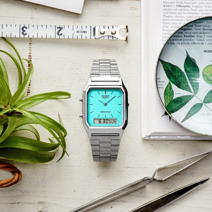 Bild von Casio Vintage