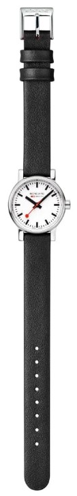 Bild von MONDAINE Evo2