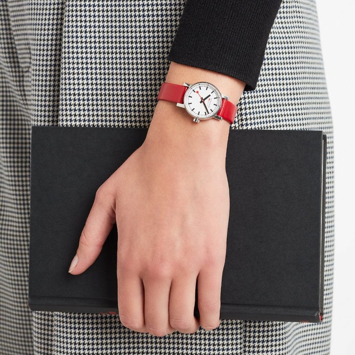 Bild von MONDAINE Evo2