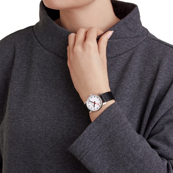 Bild von MONDAINE Evo2