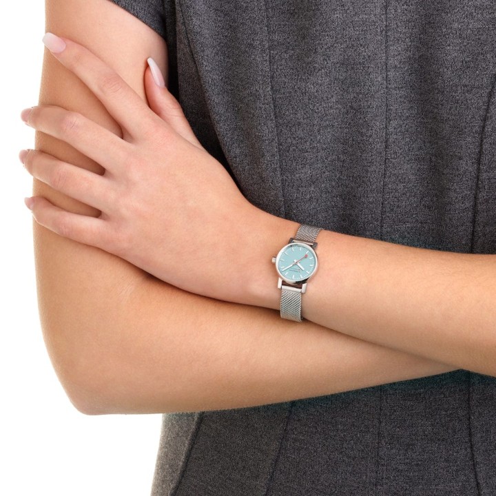 Bild von MONDAINE Evo2