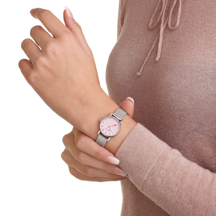 Bild von MONDAINE Evo2