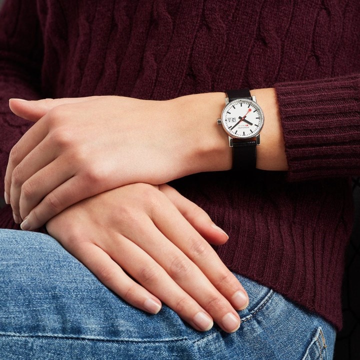 Bild von MONDAINE Evo2