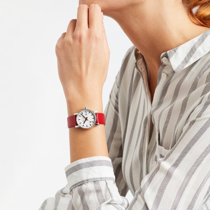 Bild von MONDAINE Evo2