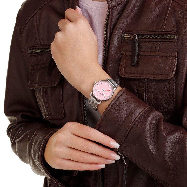 Bild von MONDAINE Evo2