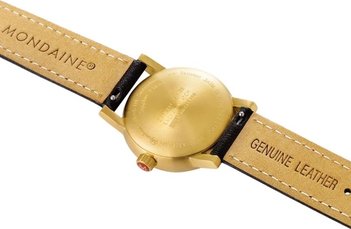 Bild von MONDAINE Evo2