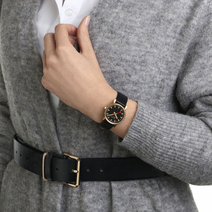 Bild von MONDAINE Evo2