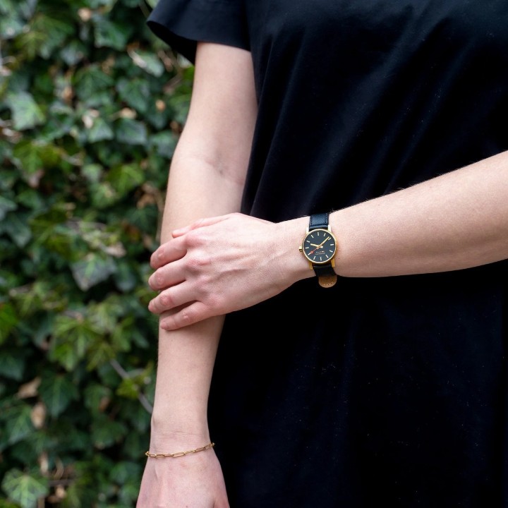 Bild von MONDAINE Evo2