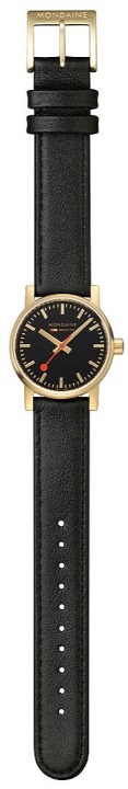 Bild von MONDAINE Evo2