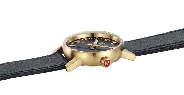 Bild von MONDAINE Evo2