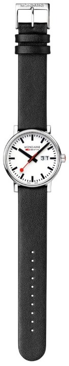 Bild von MONDAINE Evo2