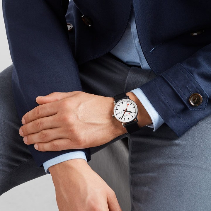 Bild von MONDAINE Evo2