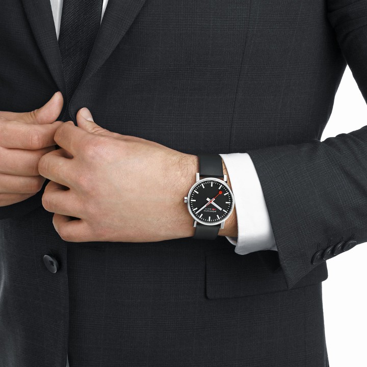 Bild von MONDAINE Evo2