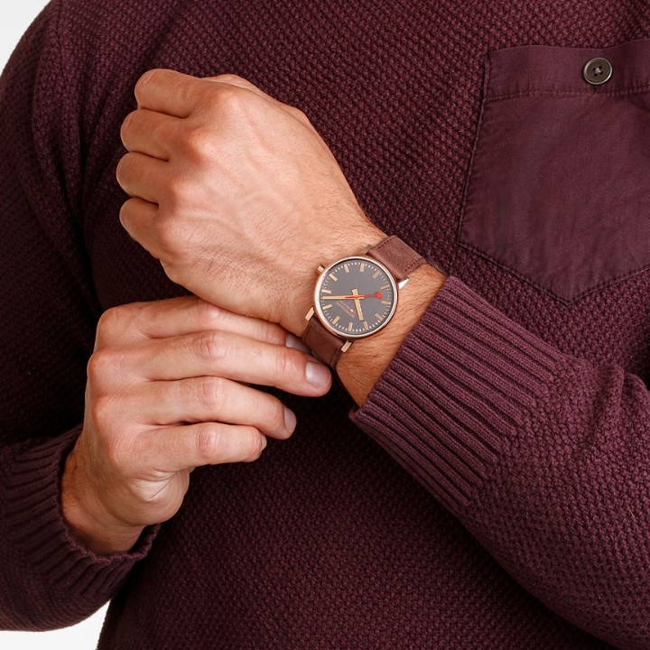 Bild von MONDAINE Evo2