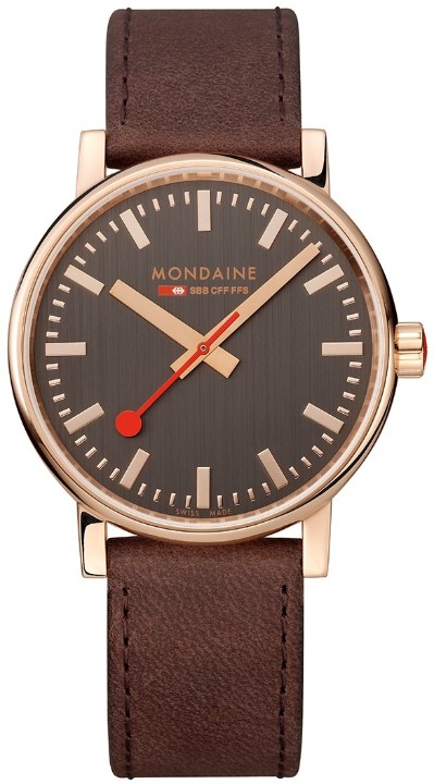 Bild von MONDAINE Evo2