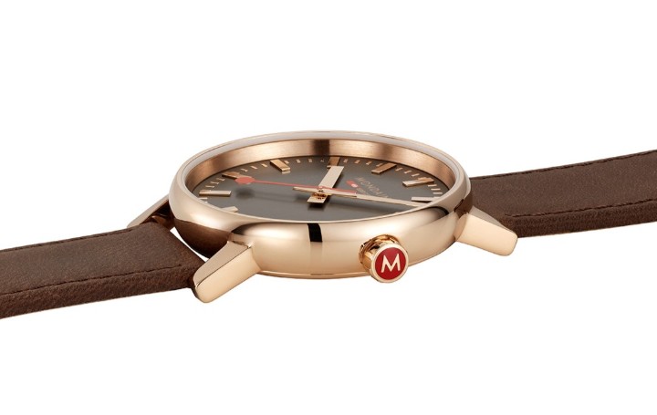 Bild von MONDAINE Evo2