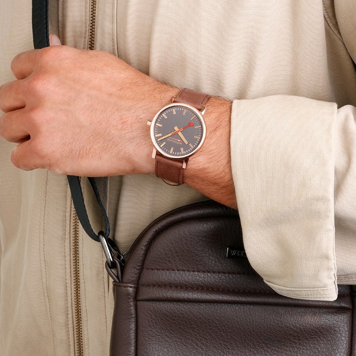 Bild von MONDAINE Evo2