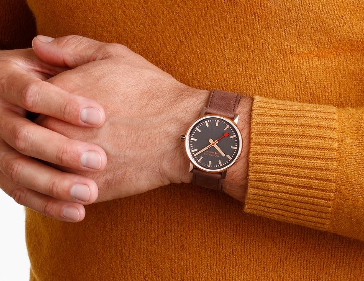 Bild von MONDAINE Evo2