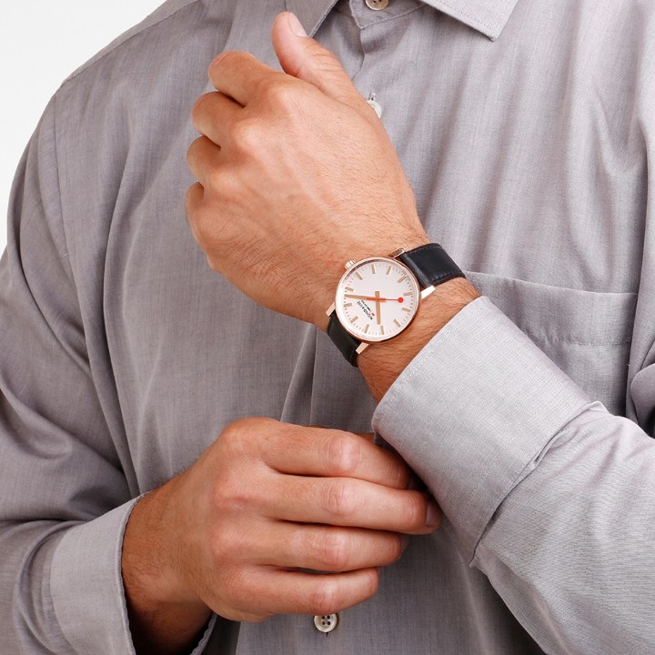 Bild von MONDAINE Evo2