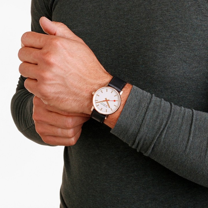 Bild von MONDAINE Evo2