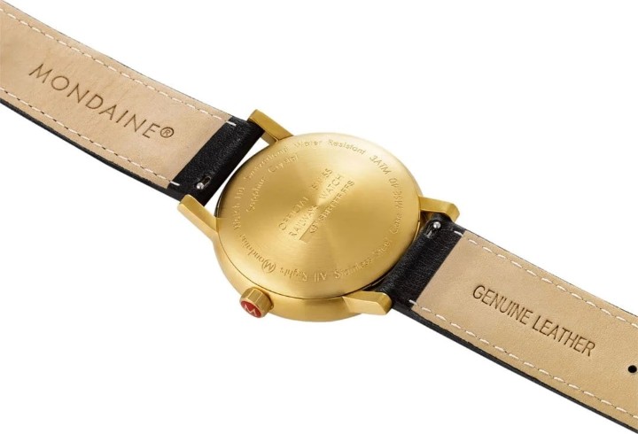 Bild von MONDAINE Evo2