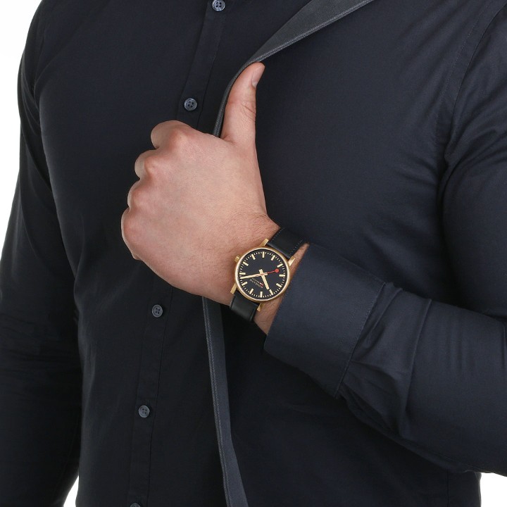 Bild von MONDAINE Evo2