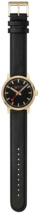 Bild von MONDAINE Evo2