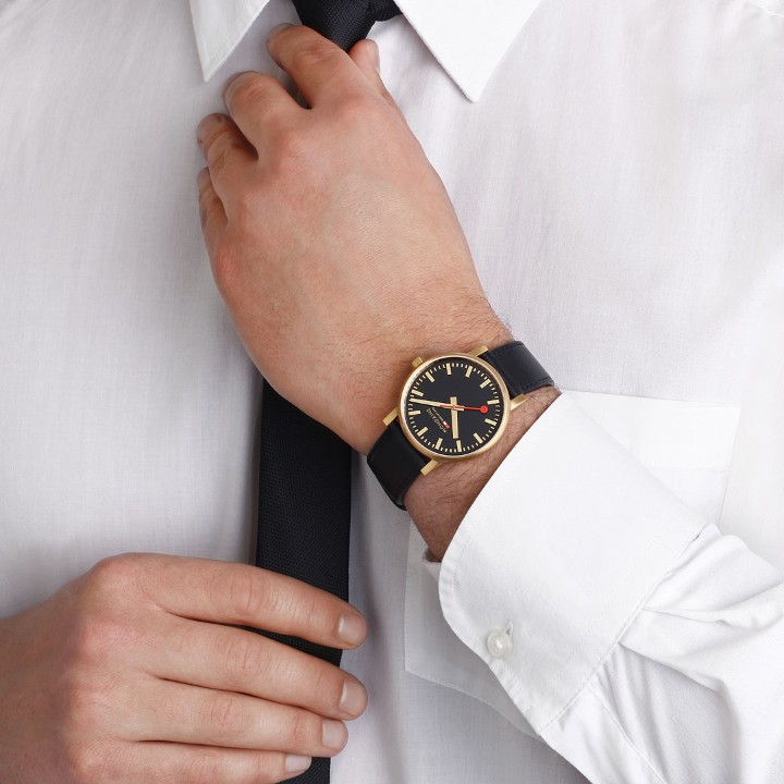 Bild von MONDAINE Evo2