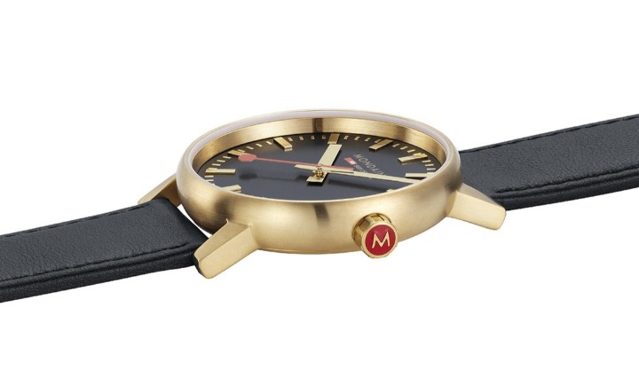 Bild von MONDAINE Evo2