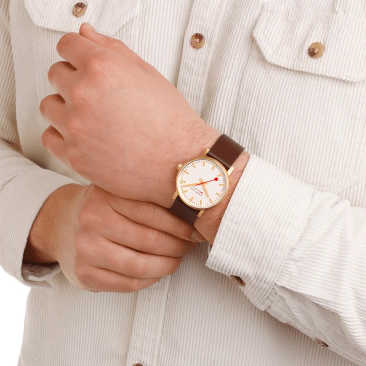 Bild von MONDAINE Evo2