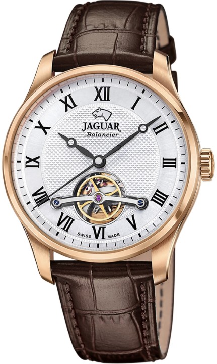 Bild von Jaguar Automatik