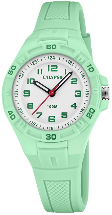 Bild von Calypso Junior