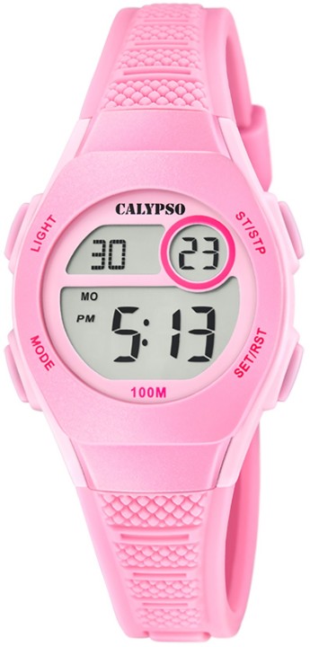 Bild von Calypso Junior