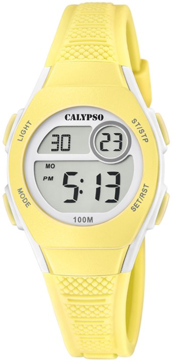 Bild von Calypso Junior