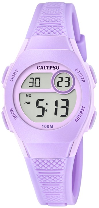 Bild von Calypso Junior